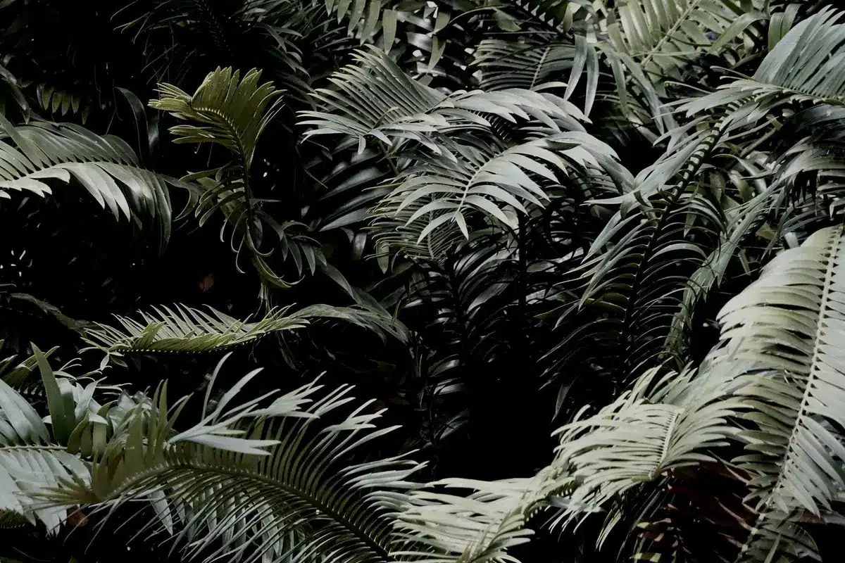 Colorful tropical jungle environment with vines, bananas, and wooden platforms bathed in sunlight, lush vegetation overhead