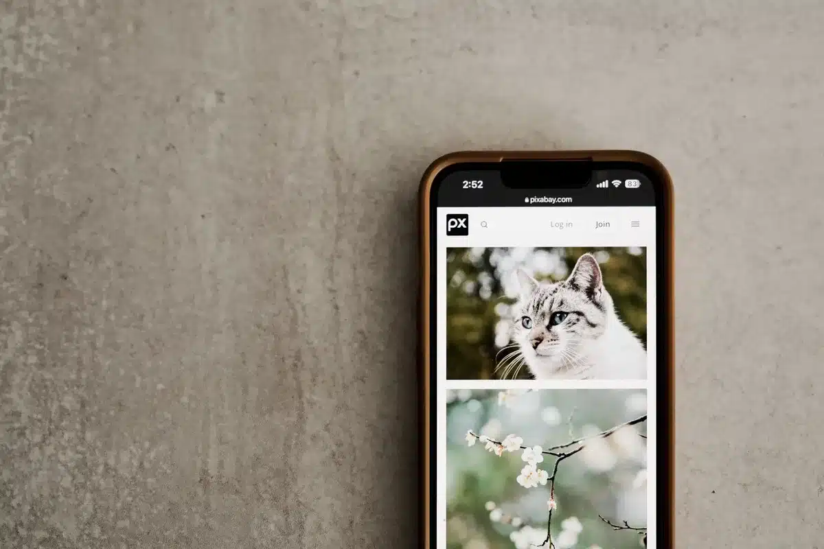 Smartphone screen showing the Photos app with a recently deleted folder open, displaying thumbnail images ready for recovery, soft lighting on the device.