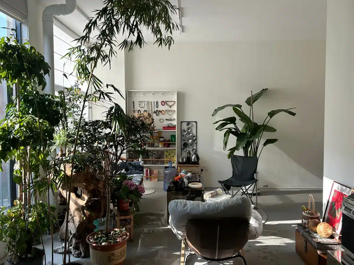 Apartamento de Los Ángeles con dos amigas compartiendo un espacio acogedor y precario