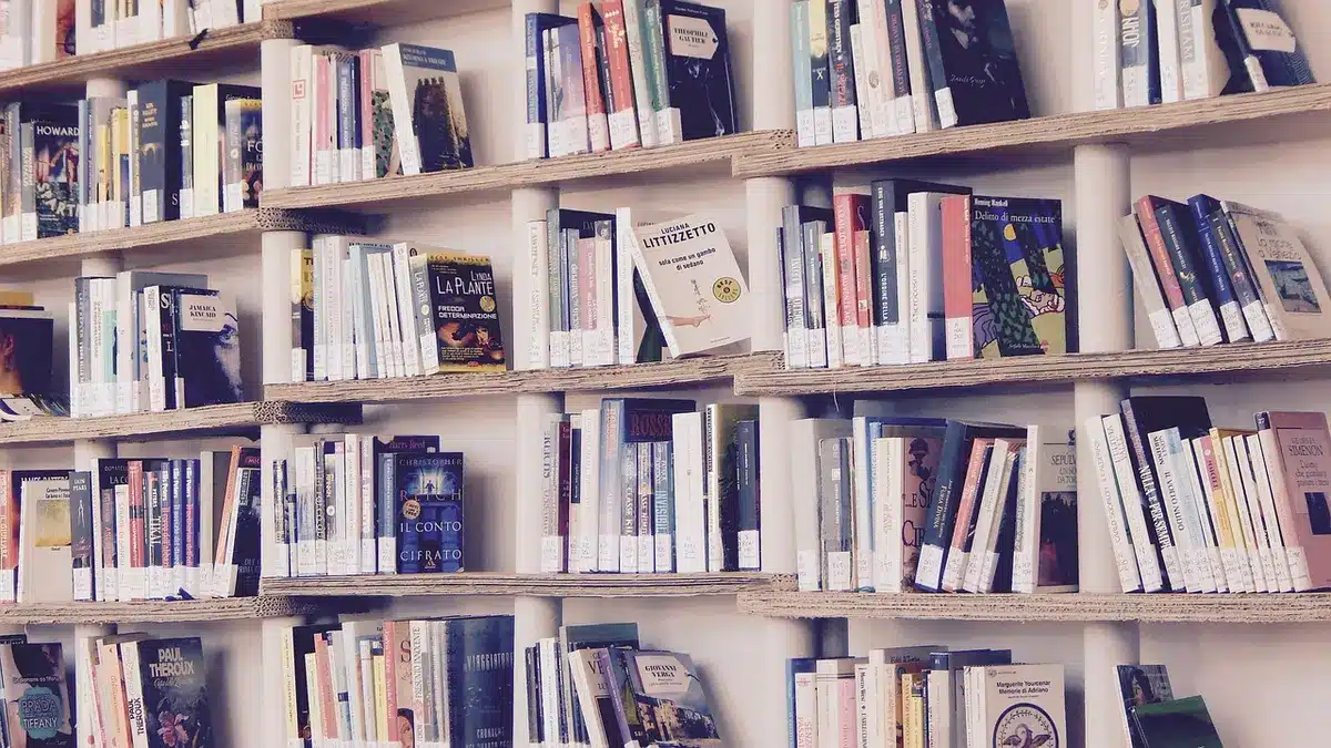 Estantería de biblioteca con colecciones de libros infantiles organizados por colores y géneros
