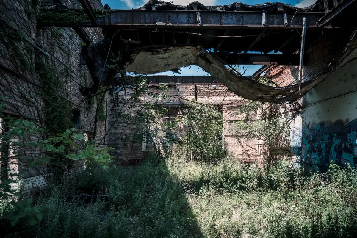 Ciudad abandonada cubierta de vegetación en escenario posapocalíptico