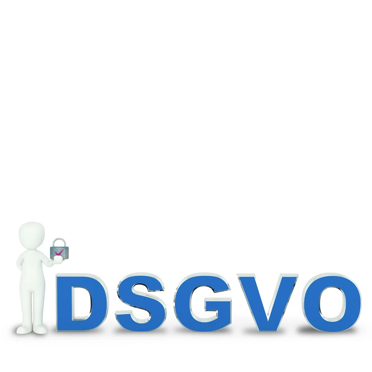 Formulario y política de privacidad en pantalla para revisar antes de enviar datos