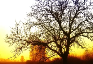 Guion y casco sobre una mesa en una azotea con luces de producción al atardecer