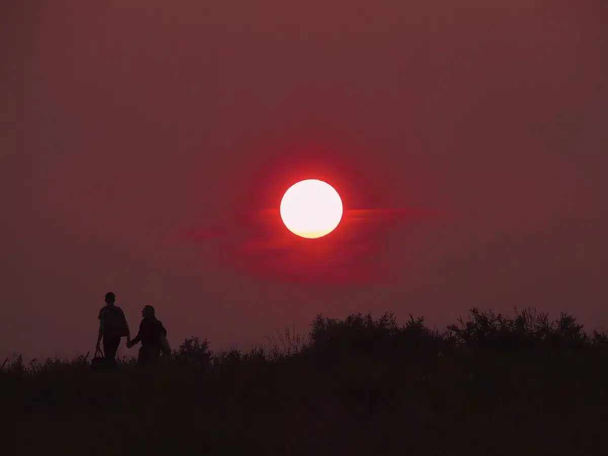 Dos músicos ensayando juntos en un estudio, tocando instrumentos