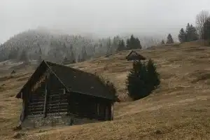 Cabaña de madera vacía con máscara y botas en un claro del bosque