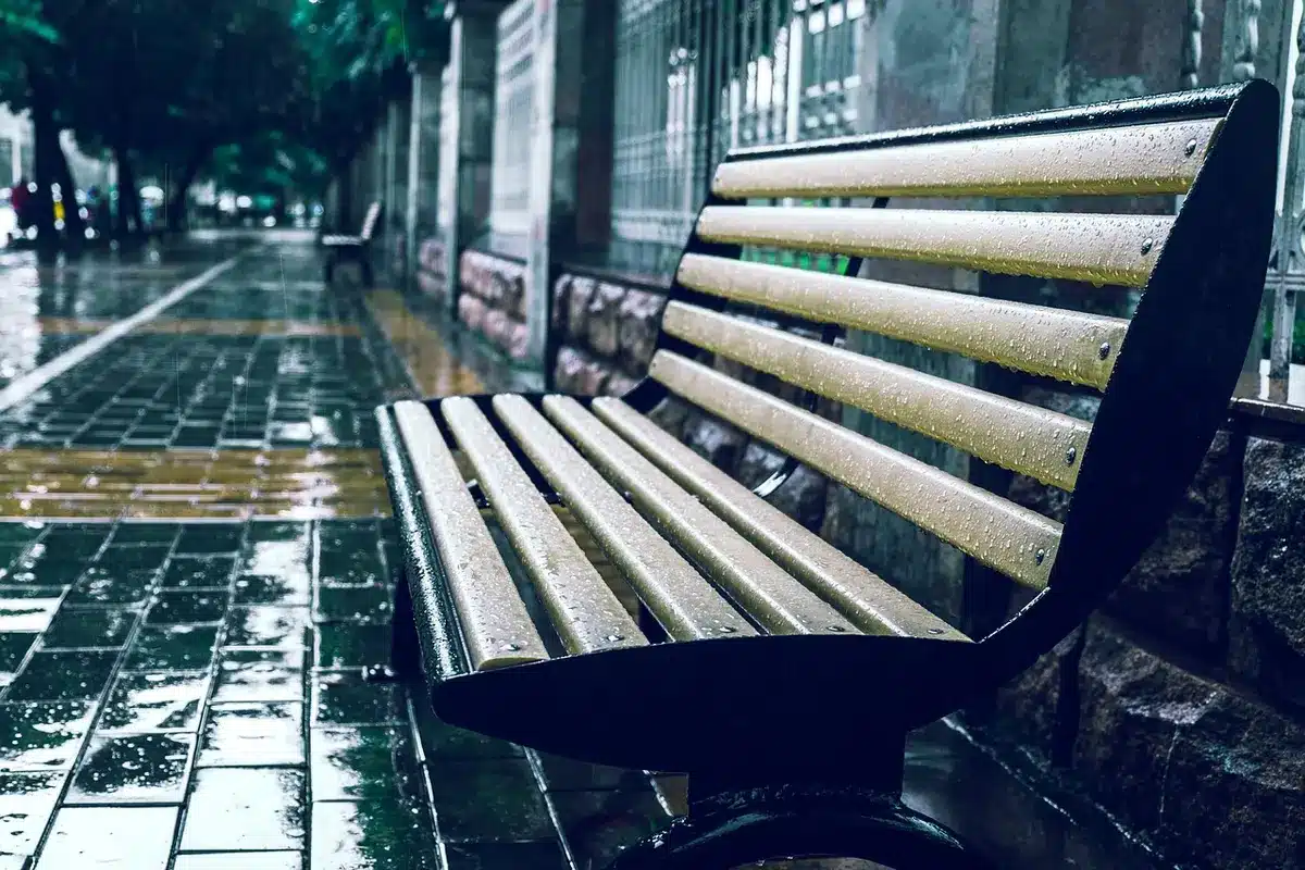 Manos sosteniendo fotografías Polaroid sobre un banco urbano mojado con luces difuminadas